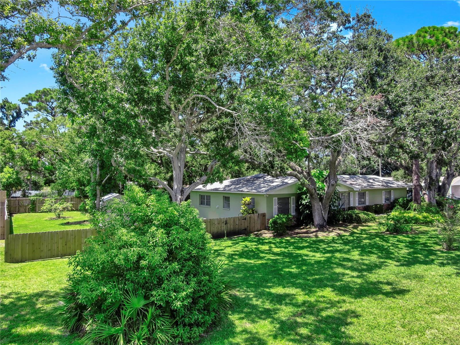 58 ARNONI DRIVE