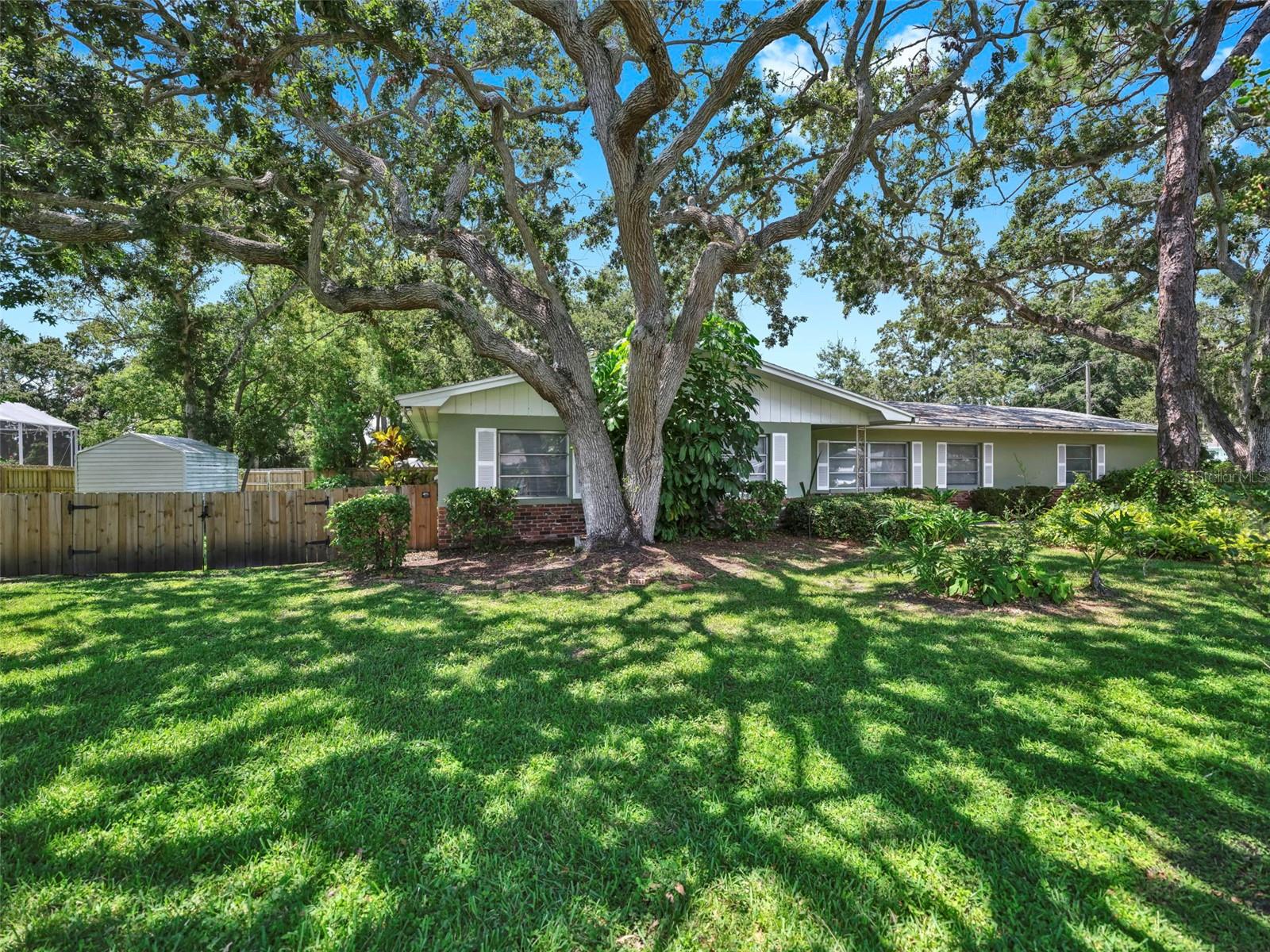 58 ARNONI DRIVE