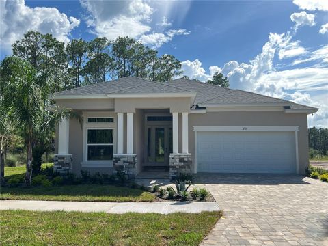 A home in PALM COAST