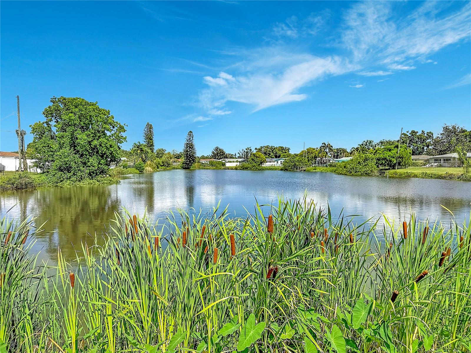 KENNETH CITY - Residential