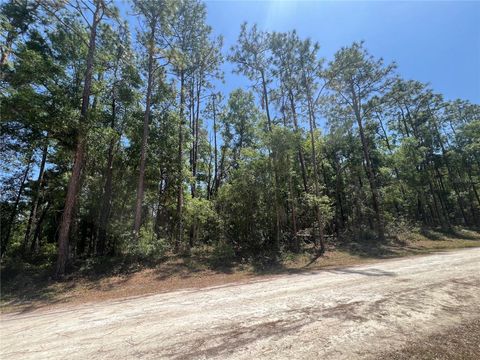 OCTAVIA LANE WEBSTER FL 33597
