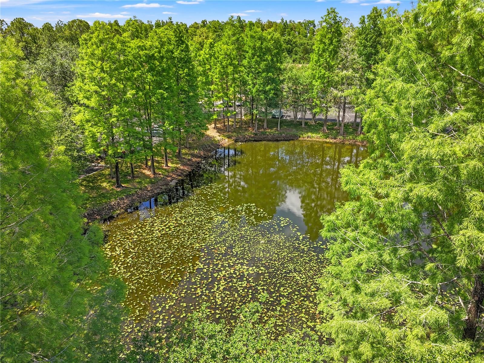 HUNTERS KEY TWNHMS AT NORT - Residential