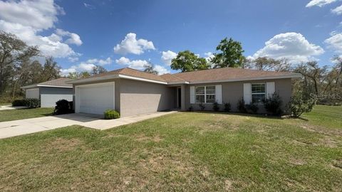 Photo of 4110 SW 132nd Lane, Ocala, FL 34473 (MLS # OM721958)