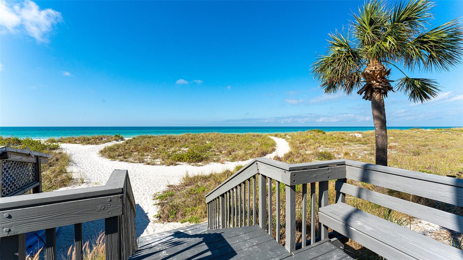 TIFFANY PLAZA - Residential Lease