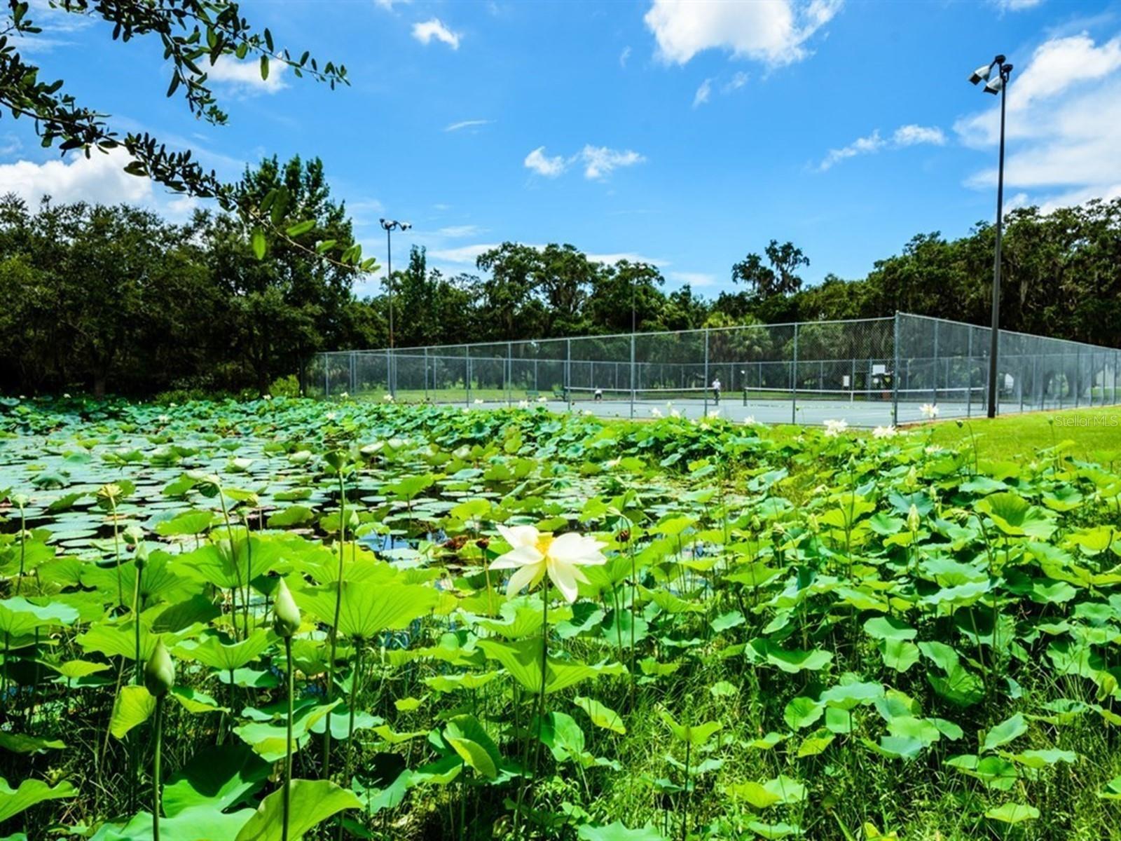 MAUS ACRES - Residential