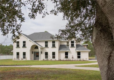 Photo of 320 Rodeo Road, Ormond Beach, FL 32174 (MLS # FC313281)