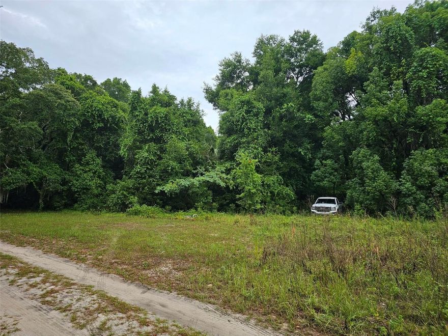 Exceptional opportunity to secure a premium home site in the serene and rapidly developing Lake Weir of Ocklawaha.  This oversized parcel offer the perfect canvas for a custom luxury residence, private retreat or strategic Investment.  Surrounded by natural beauty and located near Lake Weir, this property combines privacy with Proximity to Ocala' shopping, dining, and growth corridor.  As development continues to expand in the area land of these size and location presents strong long-term appreciation potential. Whether you're a builder, investor, or future homeowner, this is a rare change to acquire land with both lifestyle appeal and financial upside.