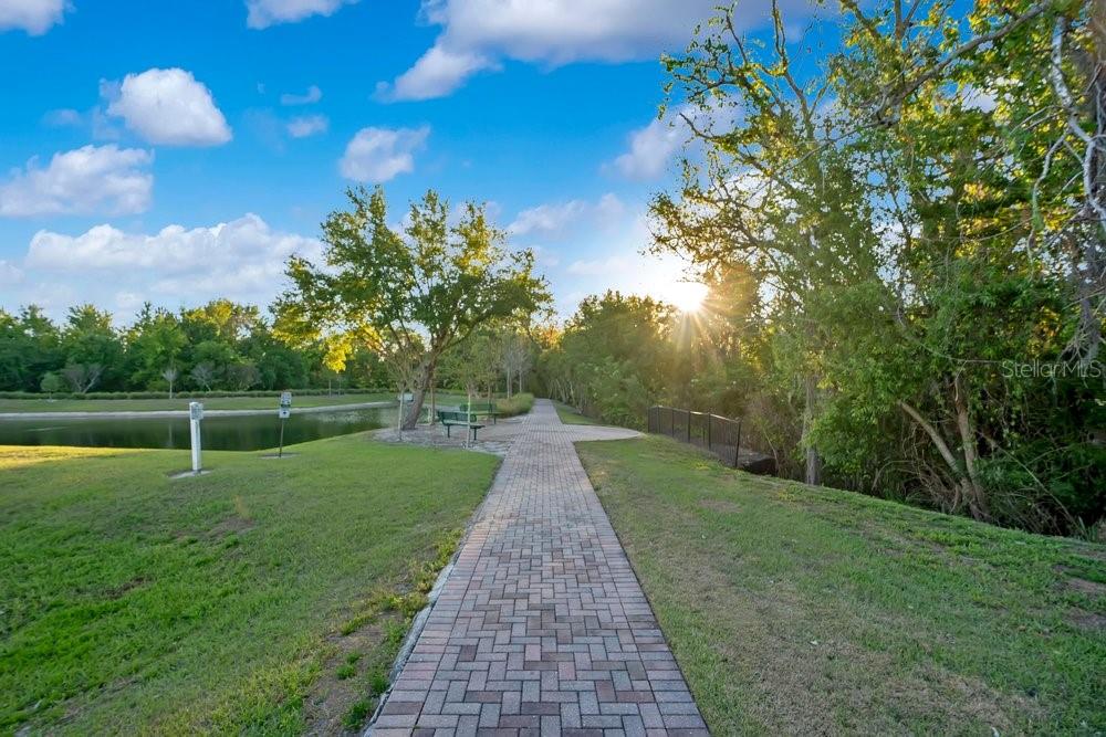 CANOPY OAKS PH I - Residential