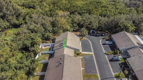 A home in SAFETY HARBOR