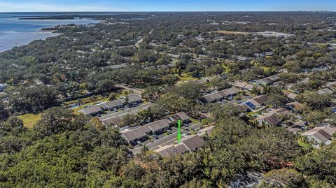 A home in SAFETY HARBOR