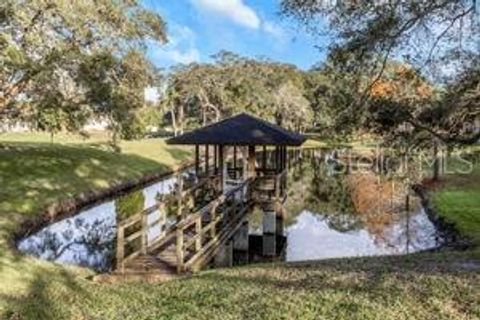 A home in SAFETY HARBOR