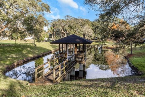 A home in SAFETY HARBOR