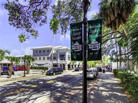 A home in SAFETY HARBOR