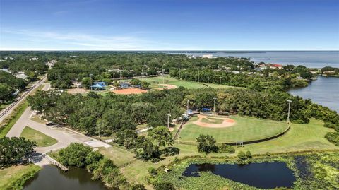 A home in SAFETY HARBOR