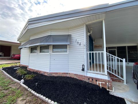 Photo of 164 Royal Palm Drive, Leesburg, FL 34748 (MLS # O6319637)