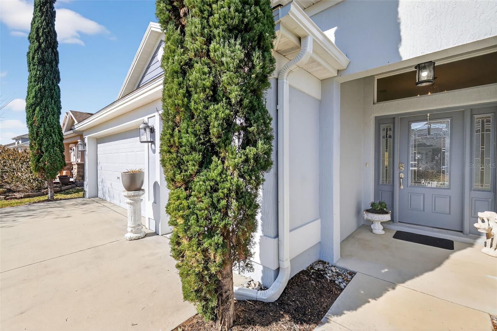 5685 ZEBRA LONGWING PATH