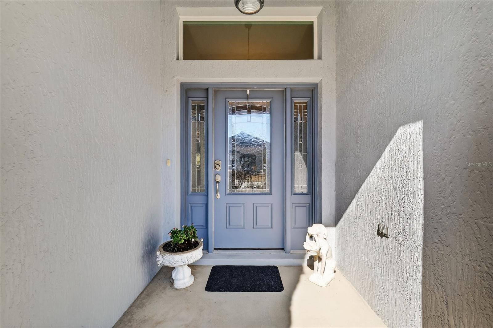 5685 ZEBRA LONGWING PATH