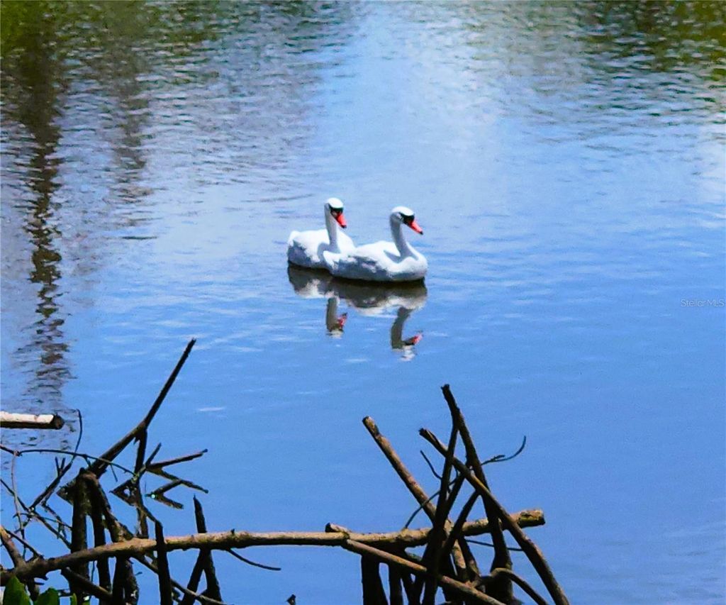 Photo of 6977 Edgewater Drive, New Port Richey, FL 34652 (MLS # TB8409516)