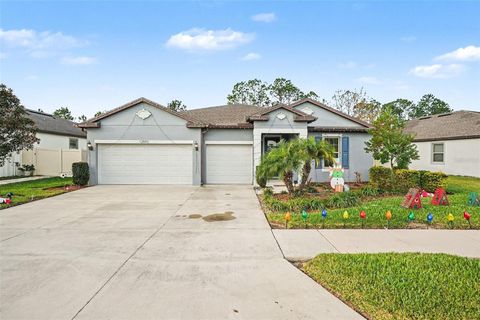 Photo of 12593 Palapa Loop, Spring Hill, FL 34610 (MLS # TB8460807)