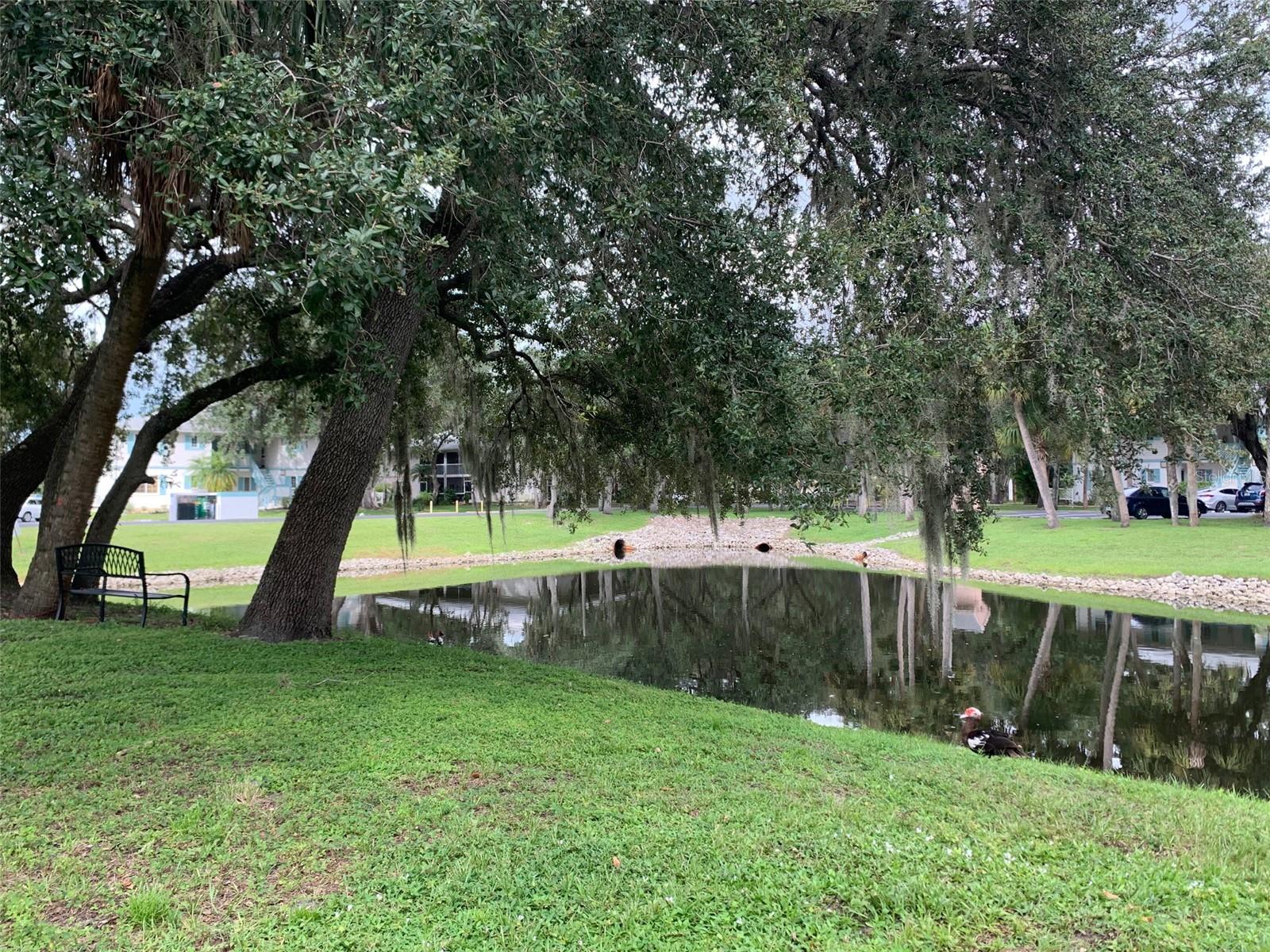 BIMINI BAY CLUB - Residential Lease