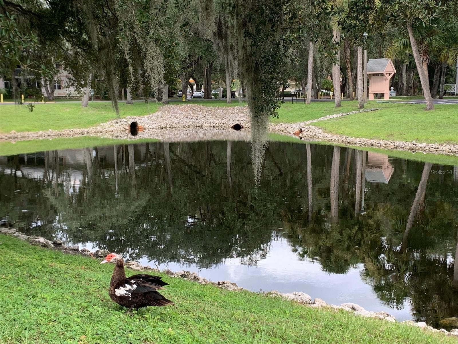 BIMINI BAY CLUB - Residential Lease