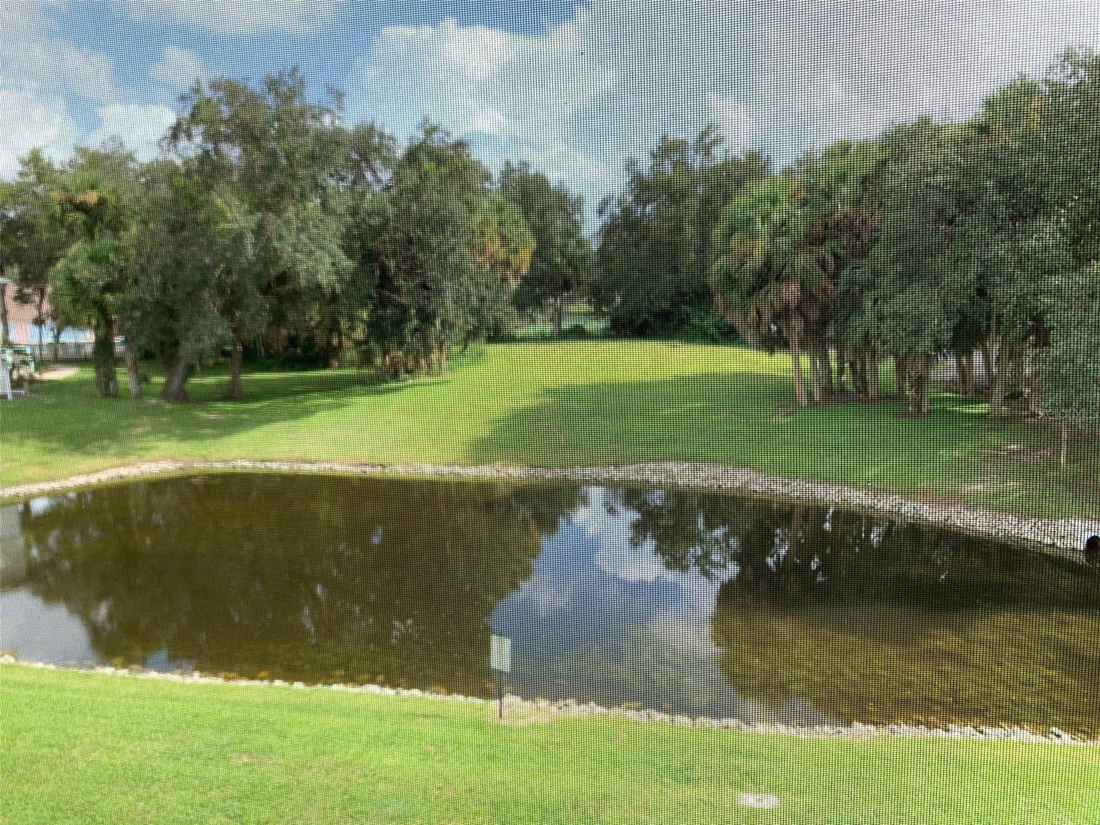 BIMINI BAY CLUB - Residential Lease