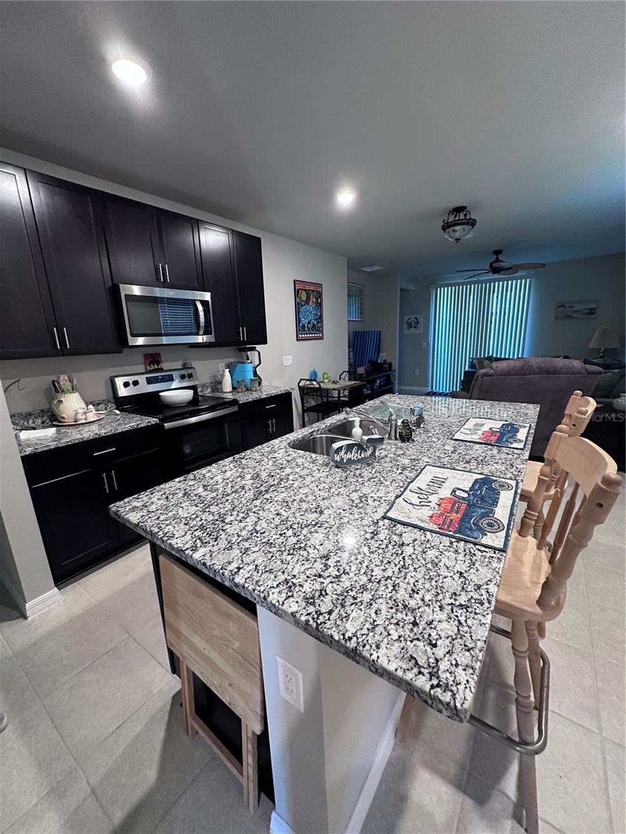 BABCOCK RANCH COMMUNITY TOWN C - Residential