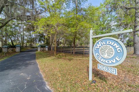 Tiny photo for 16638 N Highway 329, Reddick, FL 32686 (MLS # OM721425)