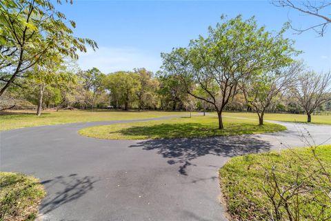 Tiny photo for 16638 N Highway 329, Reddick, FL 32686 (MLS # OM721425)