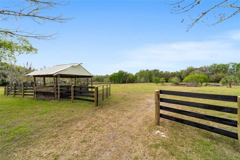 Tiny photo for 16638 N Highway 329, Reddick, FL 32686 (MLS # OM721425)