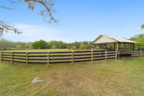 Tiny photo for 16638 N Highway 329, Reddick, FL 32686 (MLS # OM721425)