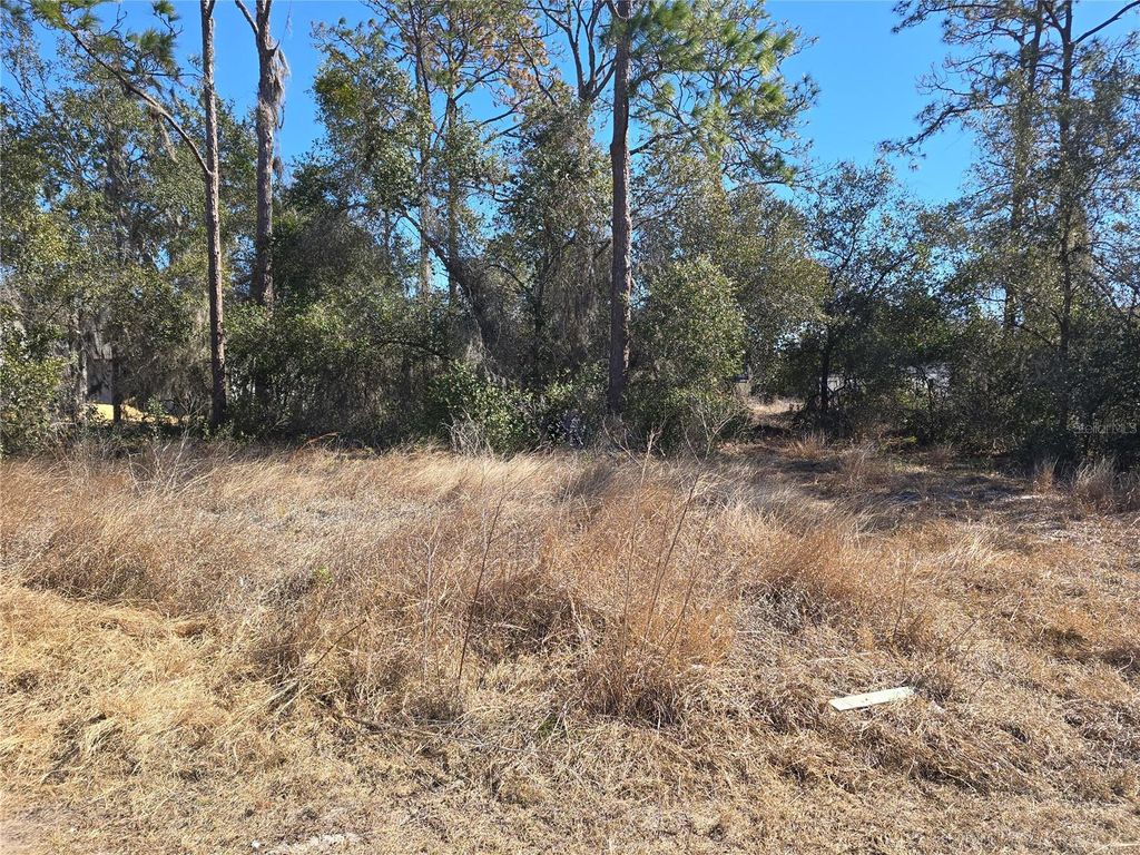 Photo of 1344 Congo Court, Kissimmee, FL 34759 (MLS # S5143432)