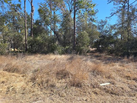 1344 CONGO COURT KISSIMMEE FL 34759