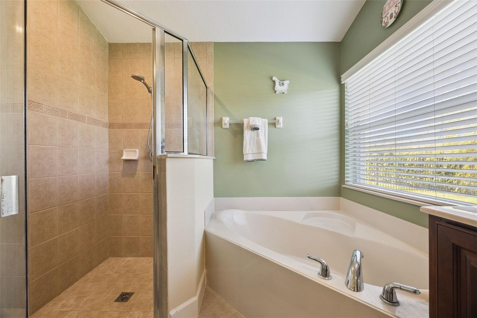 LIVE OAK RESERVE - Residential