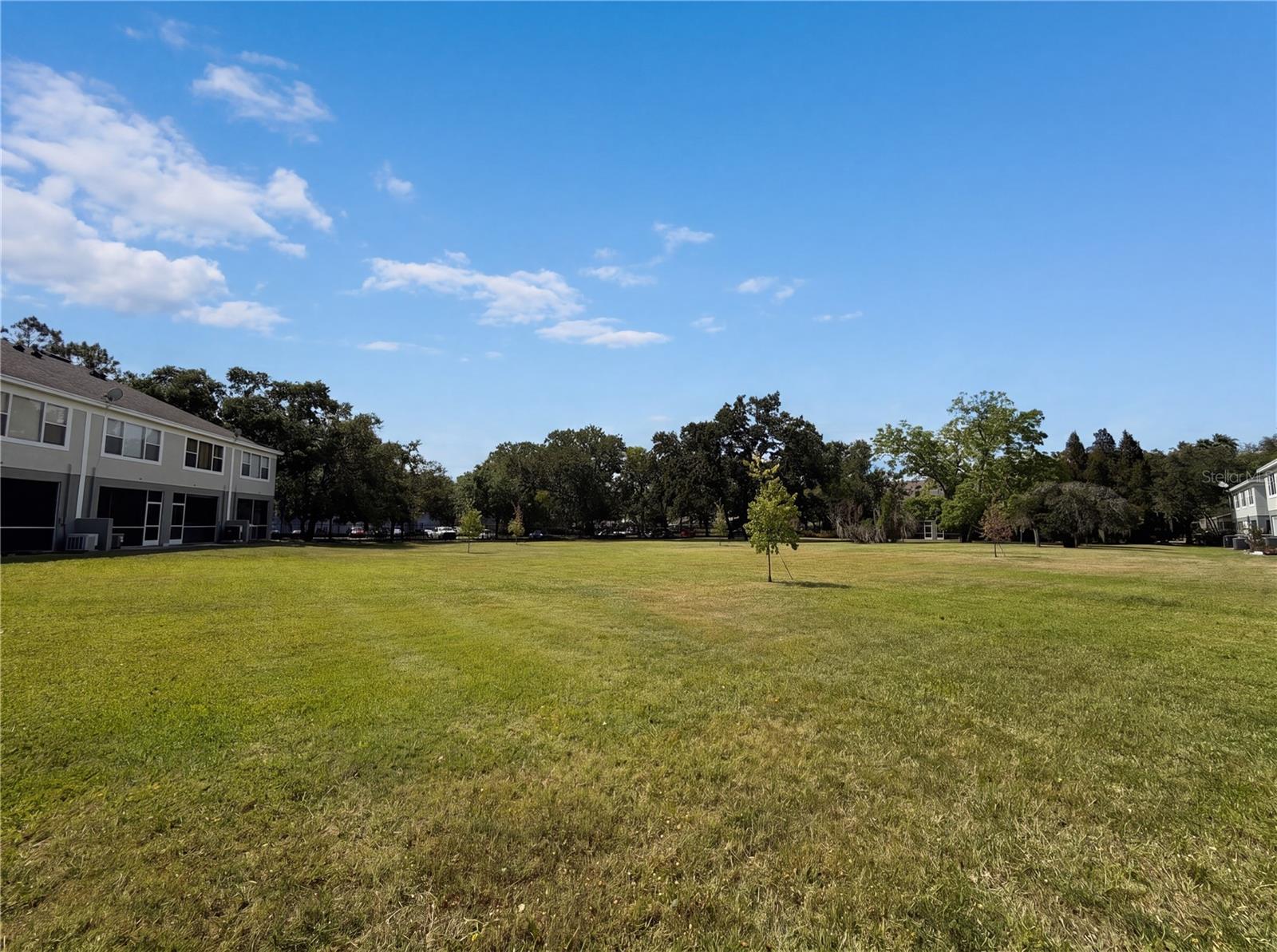 CHELSEA MANOR - Residential