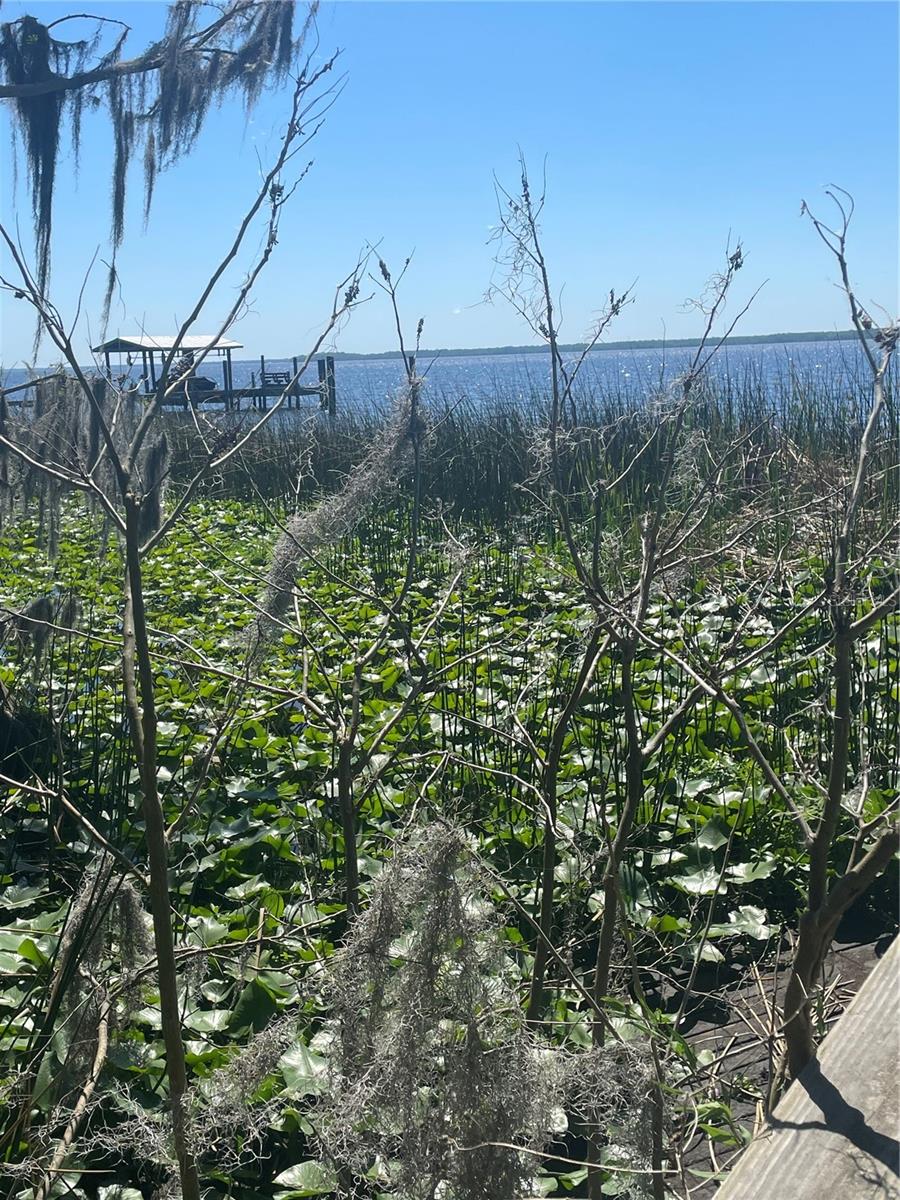 ISLAND VIEW - Residential