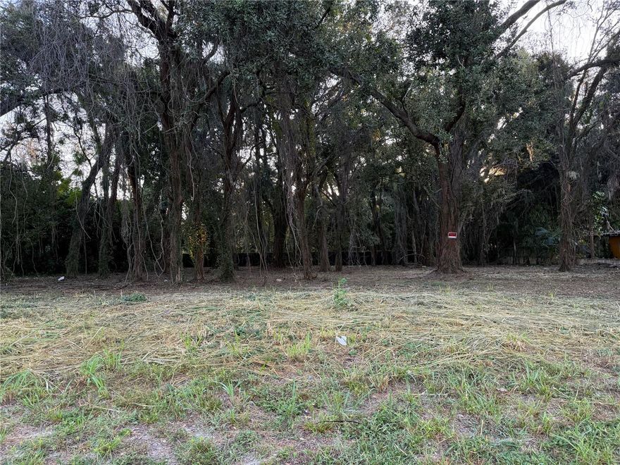 Rare commodity in Orlando. Residential .48-acre vacant land on Hiawassee Rd, one block North of Colonial.
As always, we recommend conducting your own due diligence to verify all information.