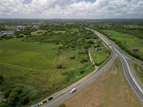 State Highway #2, KM 83.1 BO. CARRIZALES HATILLO  00659