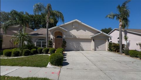 11216 LONGBROOKE DRIVE RIVERVIEW FL 33579