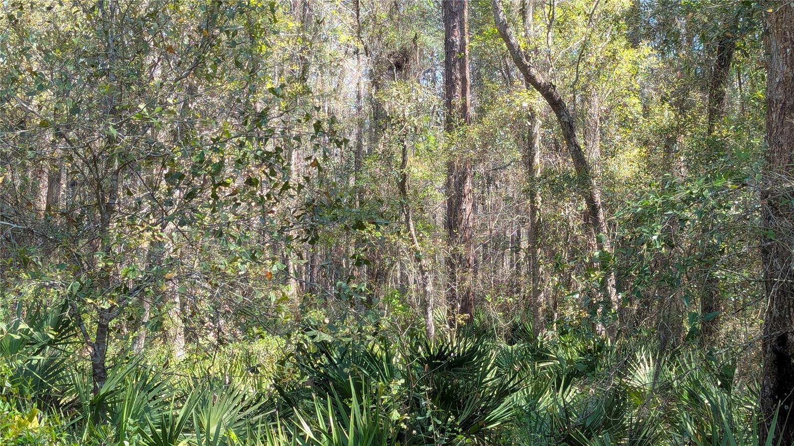 WINDSOR EAST OF GREEN ST - Land