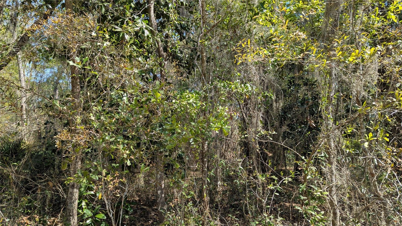 WINDSOR EAST OF GREEN ST - Land