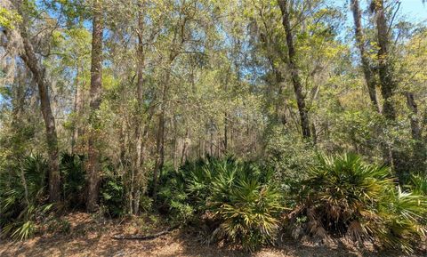 TBD NE COUNTY ROAD 234 GAINESVILLE FL 32641