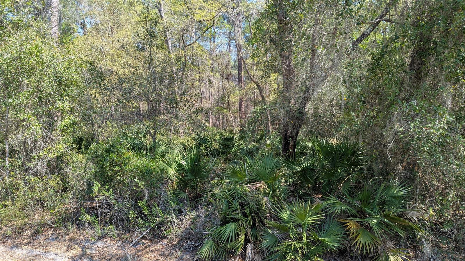 TBD NE COUNTY ROAD 234