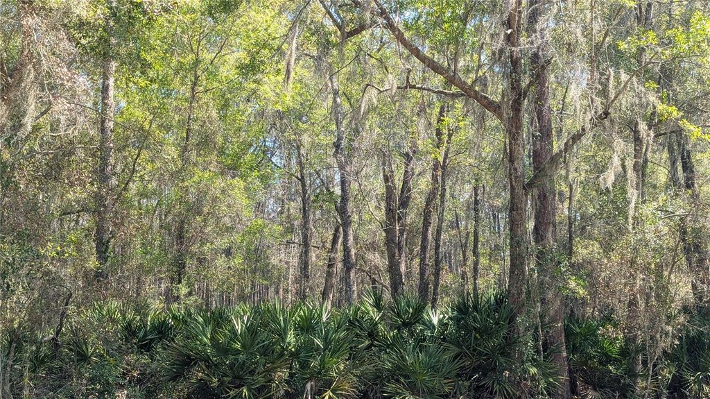 Photo of Tbd NE County Road 234, Gainesville, FL 32641 (MLS # GC538697)