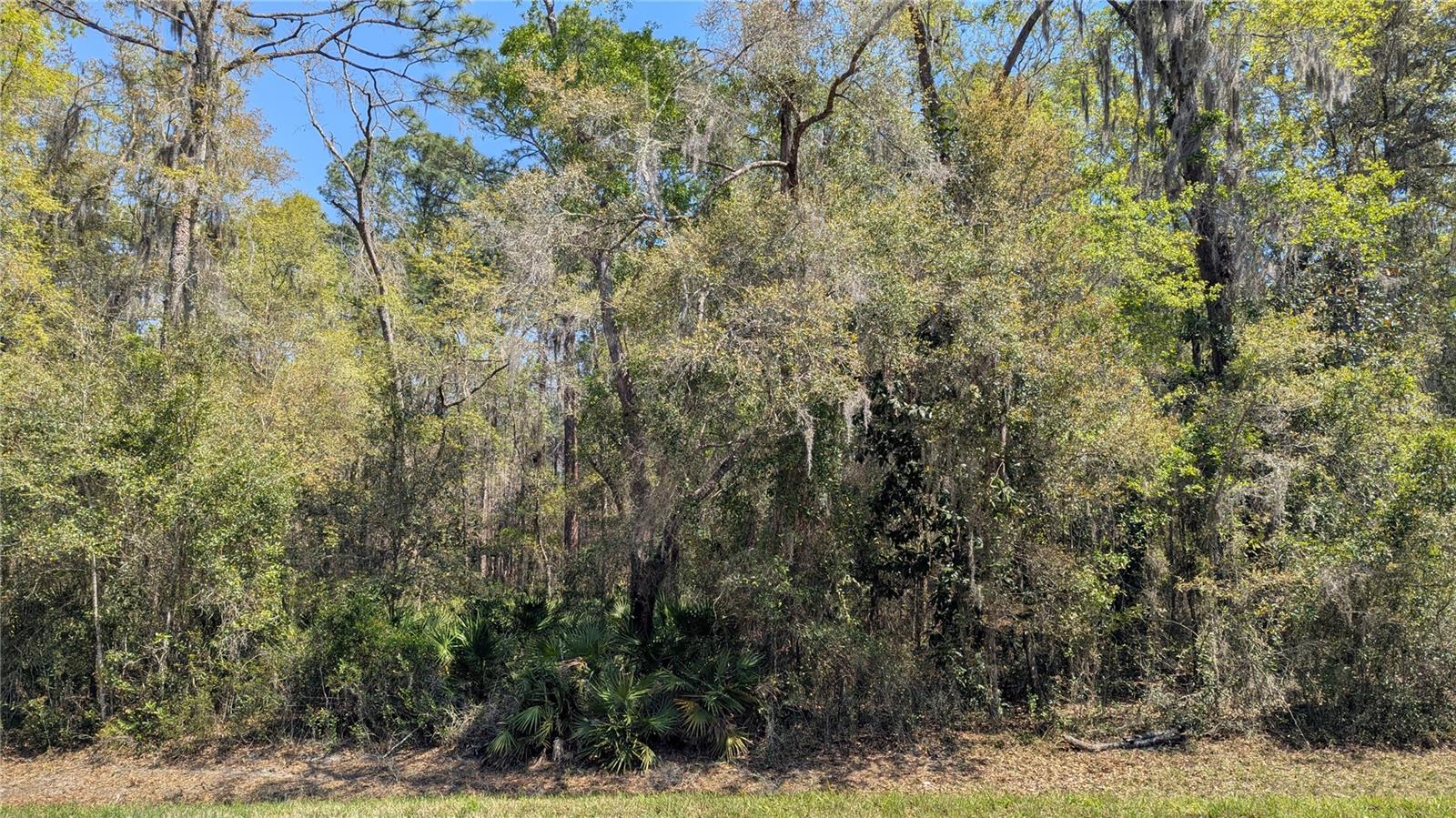 TBD NE COUNTY ROAD 234