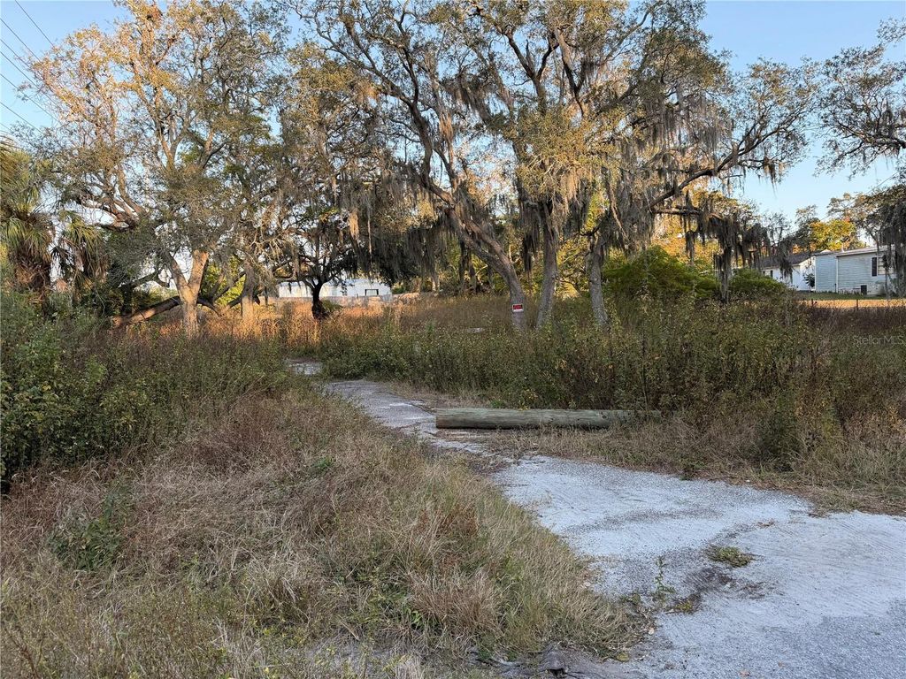 Photo of 13934 Litewood Drive, Hudson, FL 34669 (MLS # TB8452721)