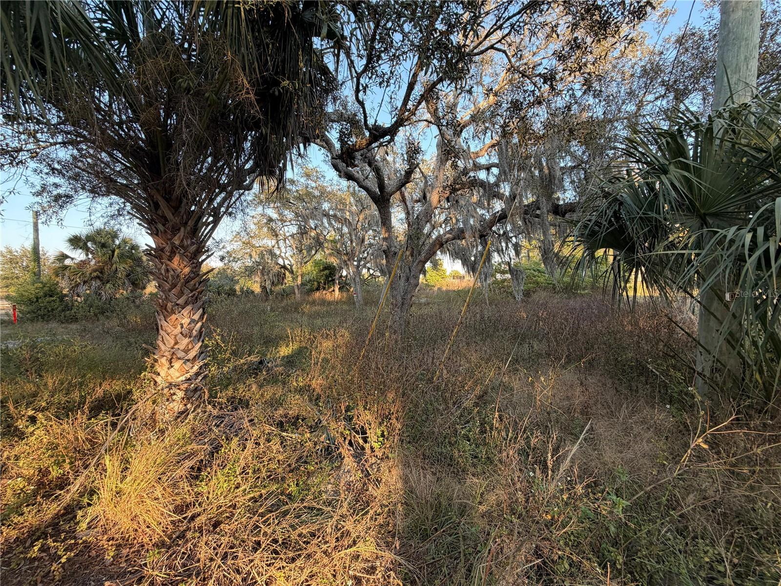 PARKWOOD ACRES - Land