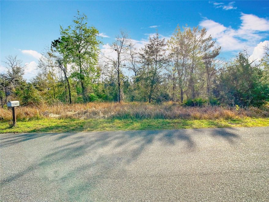 Looking for the benefits of country living while being minutes to all major amenities? Looking for a place to bring all your toys? This 3.9-acre property in Royal Hills is zoned Agricultural/Residential so single family or mobile home is allowed. Outdoor enthusiasts will love this partially fenced property on a paved road, in an up-and-coming area.  Lots of shopping and favorite local dining options, hospital, entertainment, kayaking down the clear Weeki Wachee River State Park, Mermaid Show and Water Park close by. 10 minutes to the sunset at Pine Island and minutes from the Suncoast Parkway for work or play! Enjoy everything Tampa Bay has to offer from the new Downtown Riverwalk, TOP US BEACHES, boating, fishing, golfing, cultural entertainment and museums...and of course year-round beautiful weather! NO HOA, NO FLOOD!!
