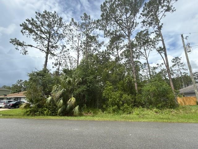 Discover the perfect spot to build your dream home on this beautiful wooded lot located at 26 Westgrill Drive in Palm Coast, FL. Nestled in a desirable neighborhood, this property offers natural privacy and a serene setting while being conveniently close to Pine Lakes Golf Course, shopping centers, churches, and the beautiful beaches of Flagler County. Don't miss this opportunity to create your ideal Florida lifestyle in a well-established community.