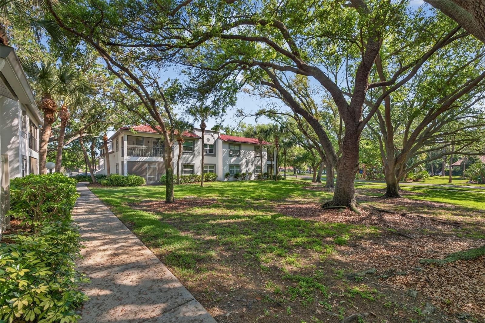 PLAZA VILLAS ONE CONDO - Residential